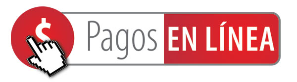 PAGOS-EN-LINEA $