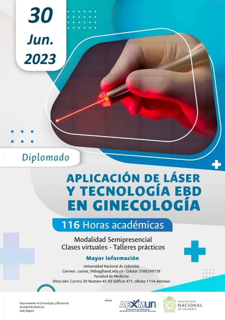 AFICHE DIPLOMADO