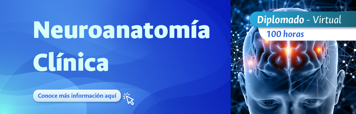 Banner - Neuroanatomía Clínica