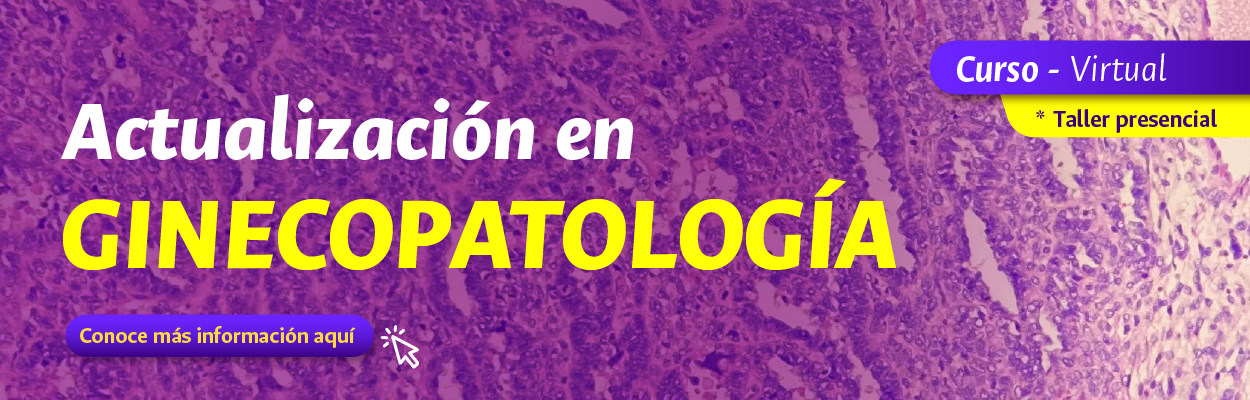 Banner - Actualización en Ginecopatología